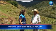 ¿Cuál será la octava pregunta de la Consulta Popular?
