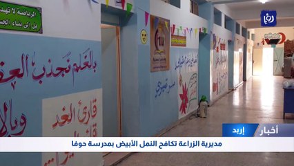 إربد:مديرية الزراعة تكافح النمل الأبيض بمدرسة حوفا