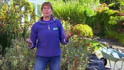 The Beechgrove Garden 2022 episode 25