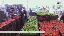 ارتفاع أسعار الطماطم بالأسواق. النموذج من مدينة اكادير