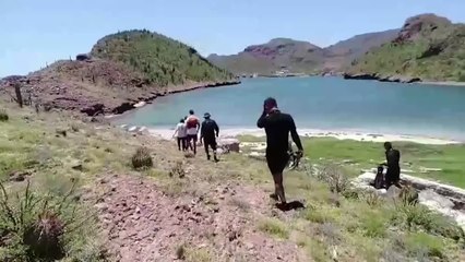 Buscan a sus desaparecidos en el fondo del Mar de Cortés