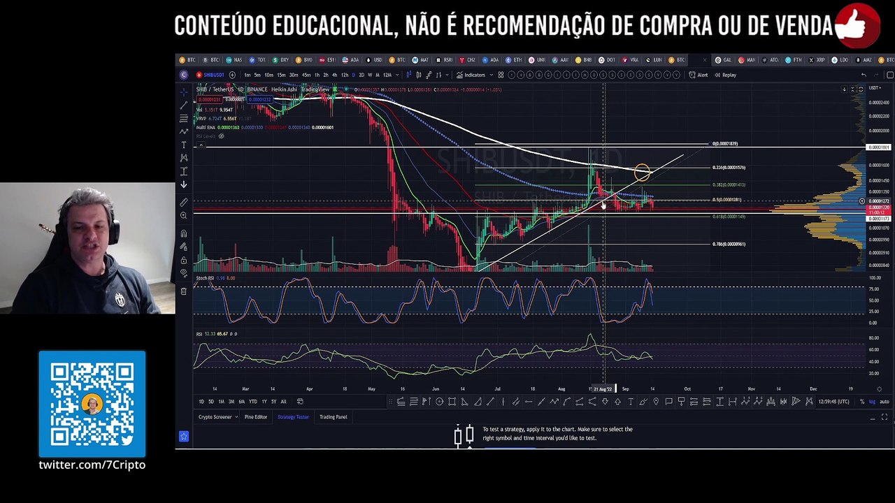 SHIBA INU ANÁLISE DE HOJE! SHIBA MAIOR PROBABILIDADE | CRIPTO 7