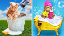 MAÎTRE D'ANIMAUX RICHE VS PAUVRE __ GADGETS COOL & ASTUCES BRILLANTES POUR TES ANIMAUX