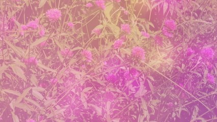 Chad Lawson - the color of the sky (Visualizer)