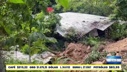 #HCHComayagua | Piden apoyo para remover árbol que cayó de negocio en bo. San José, La Libertad