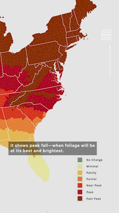 Map Shows Peak Foliage Prediction Across the U.S.