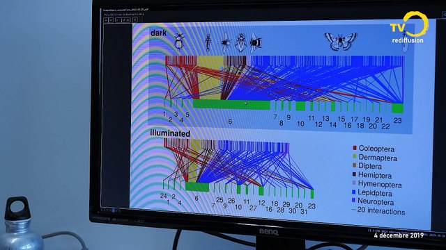Sujet: la nuit est belle: rediffusion de deux émissions sur la pollution lumineuse