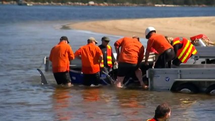 32 whales rescued after mass beaching event in Tasmania