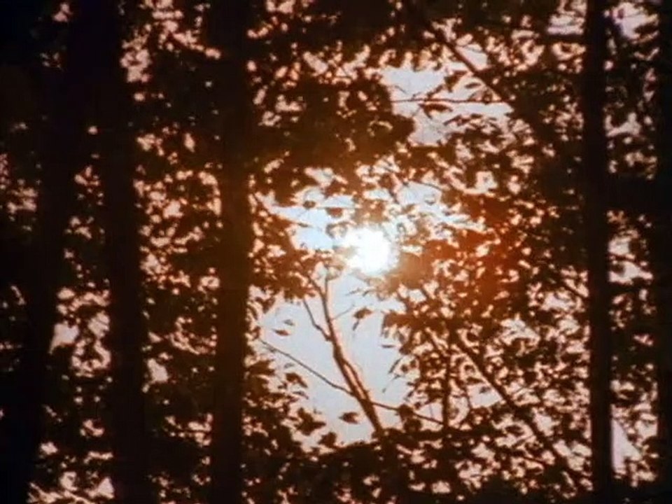 21 Jump Street Staffel 5 Folge 6 HD Deutsch