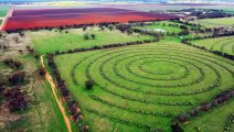 Fourth-generation NSW farmer reflects on top award