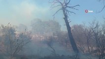 Antalya 3. sayfa haberi... Kumluca'da çıkan yangın kontrol altına alındı, 3 ev ve plastik seralar zarar gördü