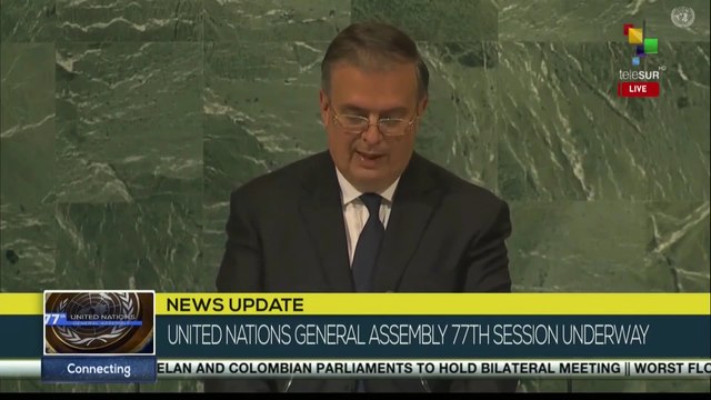 The Security Council has been unable to prevent arm aggression, says Mexican FM
