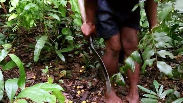 Build Amazing Swiming Pool Slide By Wilderness Technical_ #ForestBuilder