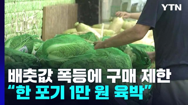 배춧값 폭등에 구매 제한까지... 품질도 예년 같지 않아 / YTN