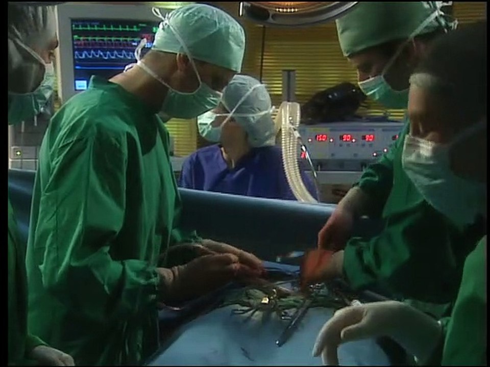 Alphateam - Die Lebensretter im OP Staffel 4 Folge 11 HD Deutsch