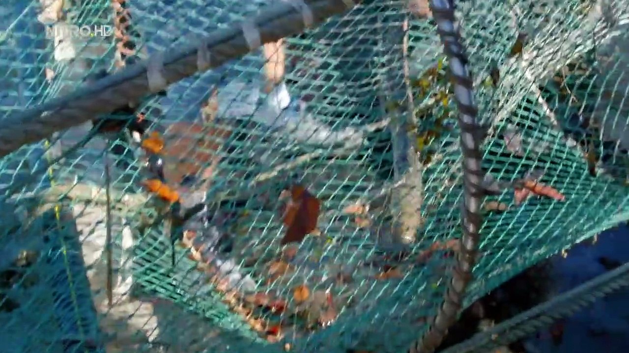 Fishing Impossible Staffel 2 Folge 4 HD Deutsch