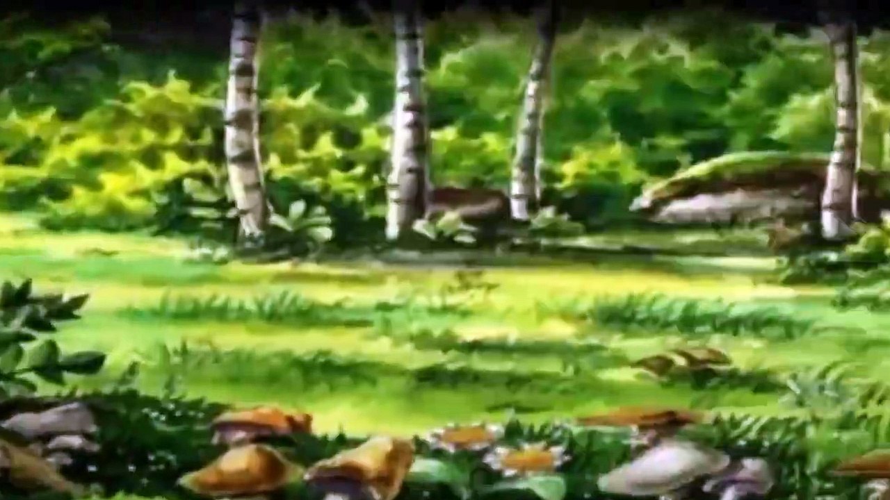 Pettersson und Findus Staffel 1 Folge 11 HD Deutsch