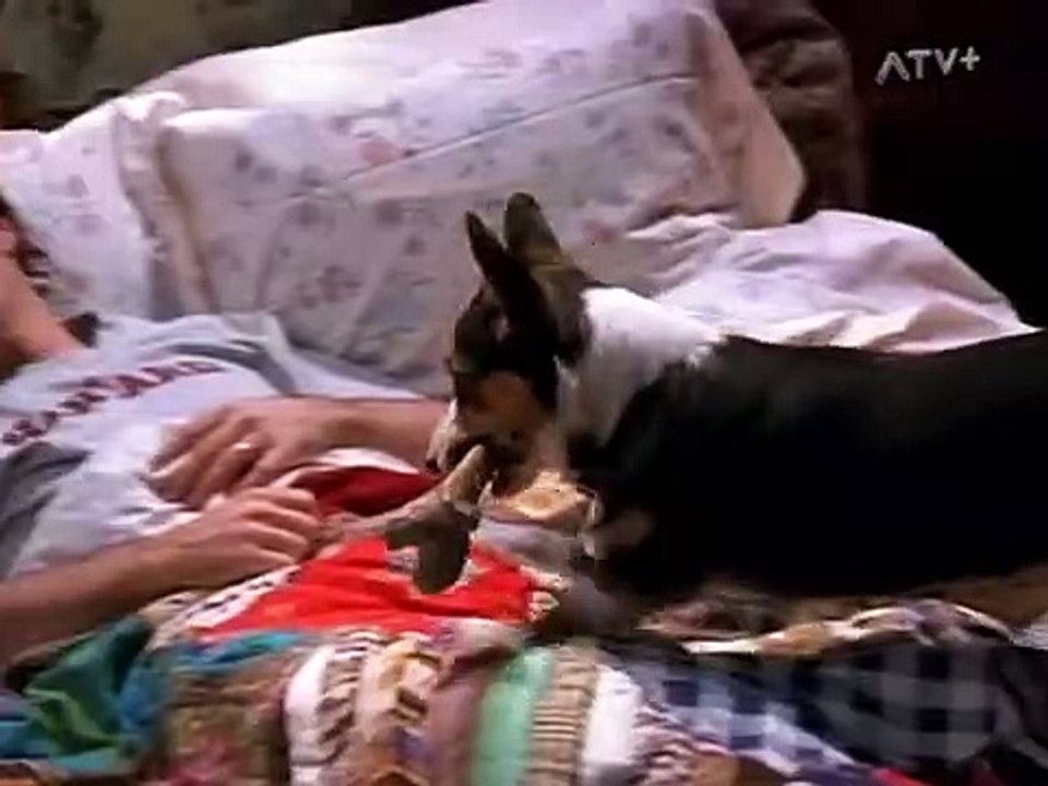 Dharma & Greg Staffel 3 Folge 16 HD Deutsch
