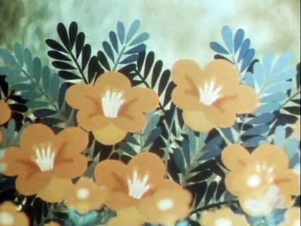 Tao Tao - Tiergeschichten aus aller Welt Staffel 1 Folge 41 HD Deutsch