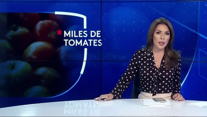 Un derrame de miles de tomates cerró una de las autopistas principales del estado.