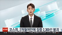 코스피, 2개월여만에 장중 2,300선 붕괴