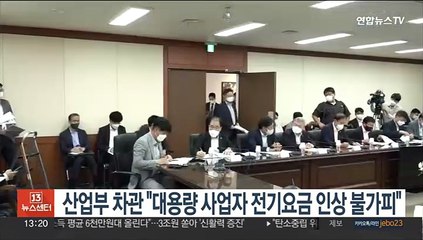 산업차관 "대용량 사업자 전기요금 인상 불가피"
