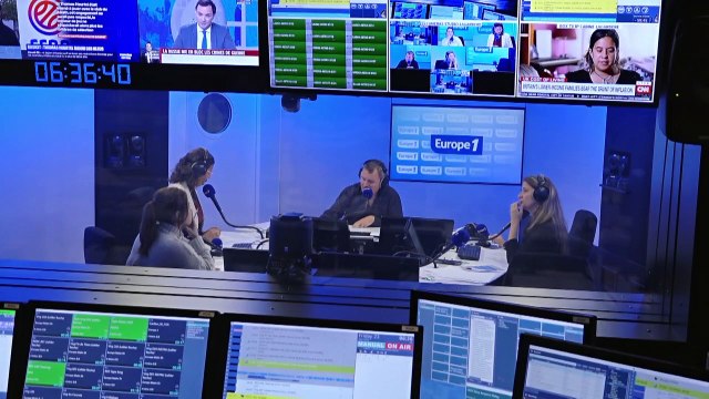 Chine : des scientifiques clonent un loup sauvage d'Arctique pour sauver cette espèce menacée