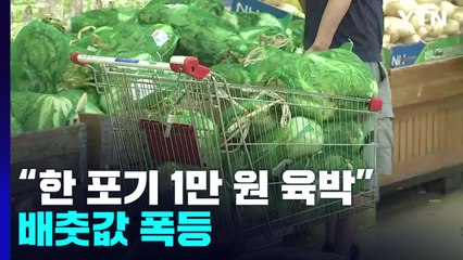 기상악화에 배추 수급 불안..."가격 하루가 다르게 올라" / YTN