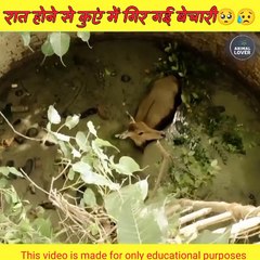 अंधेरा होने की वजह से बेचारी कुएं में गिर गई ।