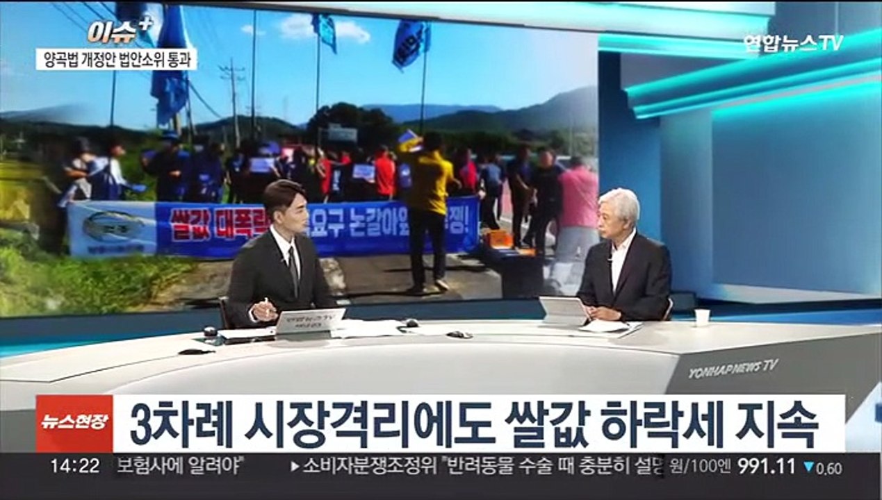 [이슈+] 쌀값 하락에 분노하는 '농심'…안정화 대책은?