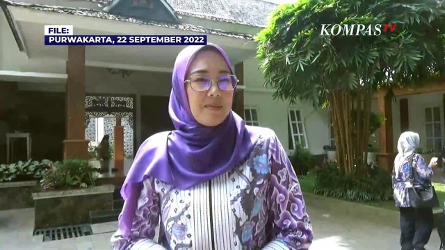 Bupati Purwakarta Buka Suara Terkait Gugat Cerai Dedi Mulyadi: Mohon Doa Terbaik