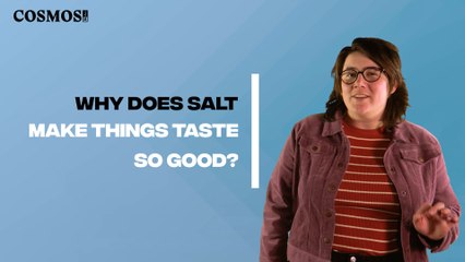 Why do we love salt? | September 23, 2022 | Cosmos Magazine