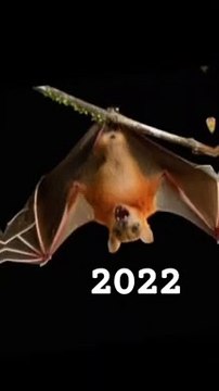 ##reelsinstagram #reelkrofeelkro #REELS #reels #reelitfeelit #trandingreels #instagood #instagram #photooftheday #like4like #p...w #photo #likeforlike #beautiful #instamood #fashion #instalike #instagrammers #instagram_turkey #instapic #instagram_kids