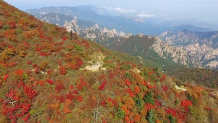 붉은 옷 갈아입기 시작한 설악산...다음 주 '첫 단풍' 예상 / YTN