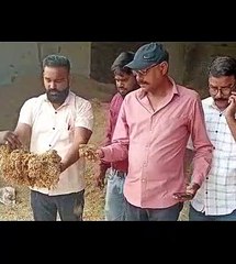 गोशाला में 18 गायें मृत पड़ी मिली, खेळ में गंदा पानी, सड़ा चारा व भूसा मिला