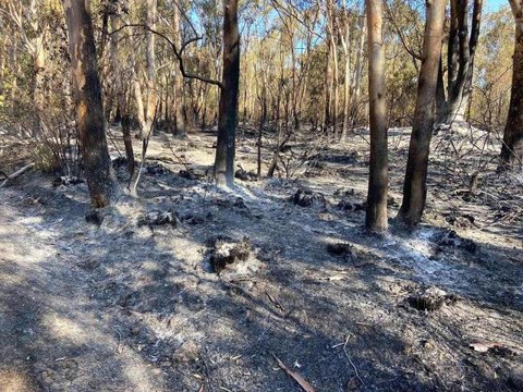 Antalya 3. sayfa haberleri... Kaş'taki orman yangını kontrol altına alındı