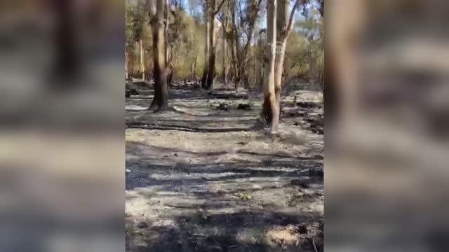 Antalya haber! Kaş ilçesindeki yangın kontrol altına alındı