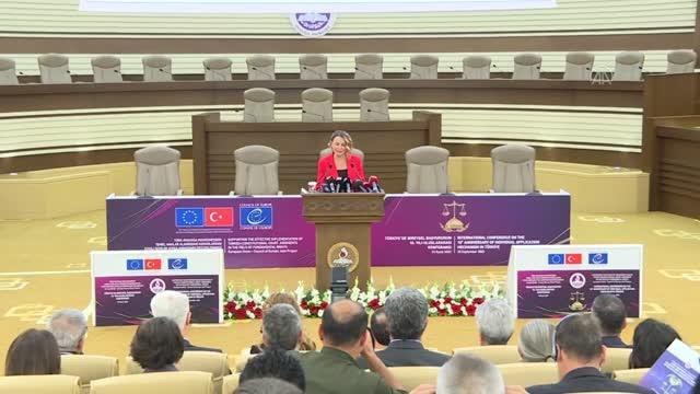 Zühtü Arslan: Bireysel başvurunun iyi uygulama örneklerinden biri Türkiye'de yerleşti