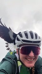 La cycliste Hayley Preen se fait attaquer par une pie !