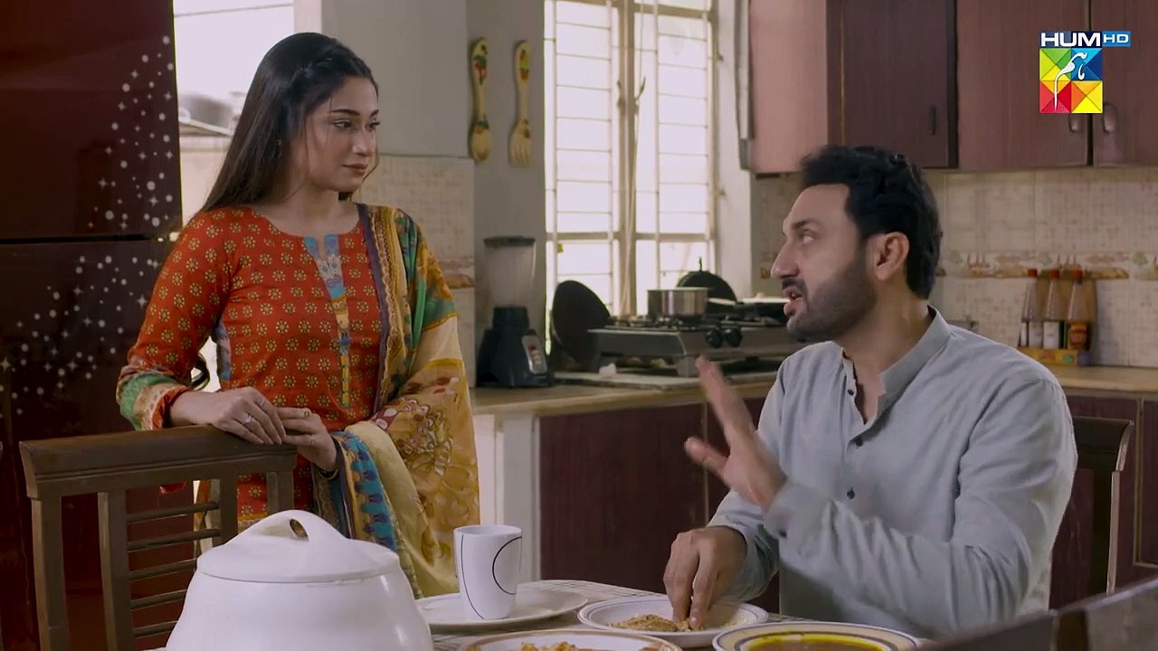 Larai Karwane Mein Dair Hee Kitni Lagti Hai..... Ant Ul Hayat  Drama