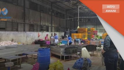 Kotor, Jijik | Najis tikus di ruangan proses ayam - DBKL