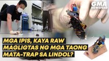 Could cockroaches be earthquake responders? | GMA News Feed