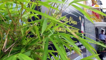 Oh My Grill - Newest Asian Fine Dining at Behala