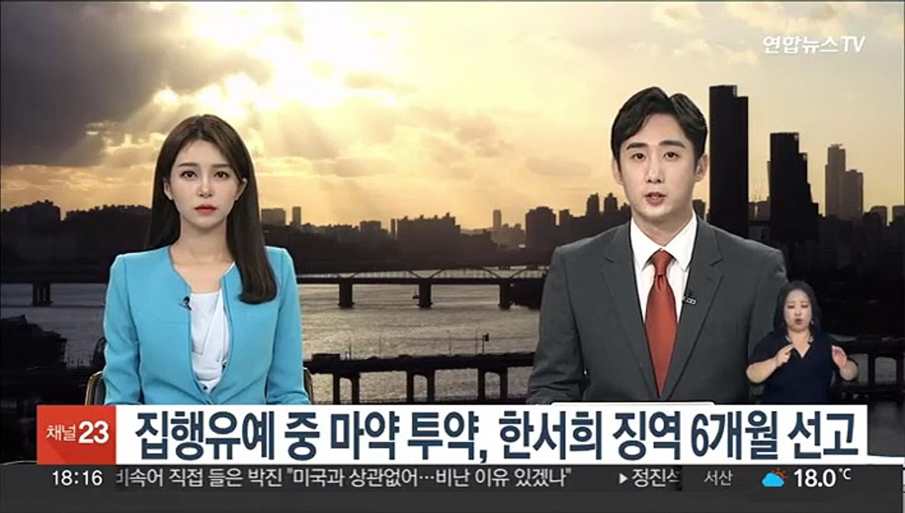 집행유예 중 마약 투약, 한서희 징역 6개월 선고