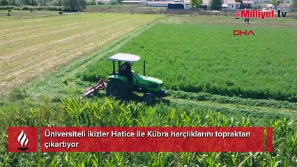 Üniversiteli ikizler Hatice ile Kübra harçlıklarını topraktan çıkarıyor