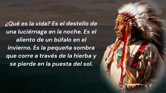 Estos Proverbios Nativos Americanos Cambian La Vida