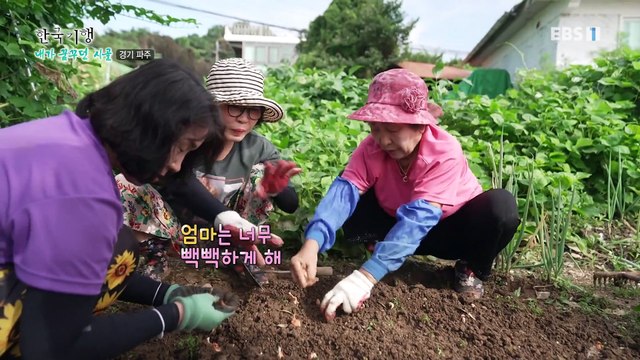 한국기행 - Korea travel_내가 꿈꾸던 시골 5부- 퇴근박을 아시나요?_#002