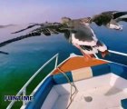 Geese flying along with a boat