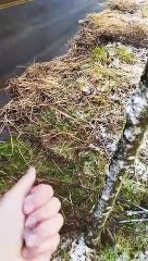 SC registra neve na primavera