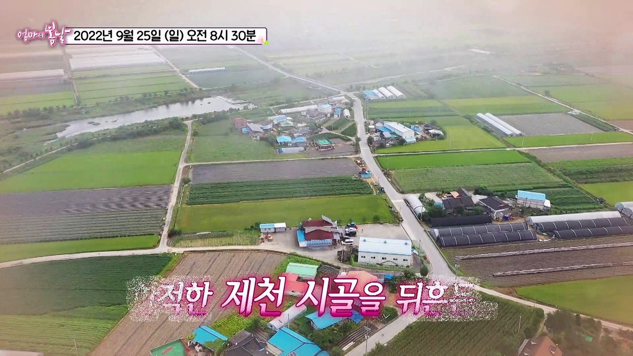 춘희 엄마의 슬기로운 노년 생활_엄마의 봄날 367회 예고 TV CHOSUN 2209...